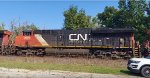 CN 3003